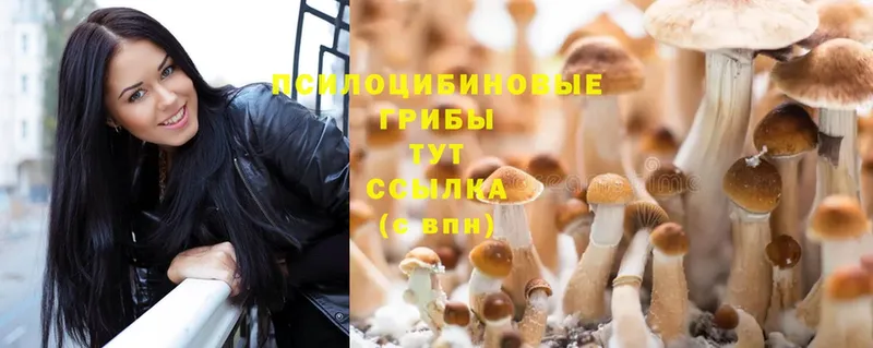 даркнет сайт  omg как войти  Галлюциногенные грибы Psilocybine cubensis  Горячий Ключ 